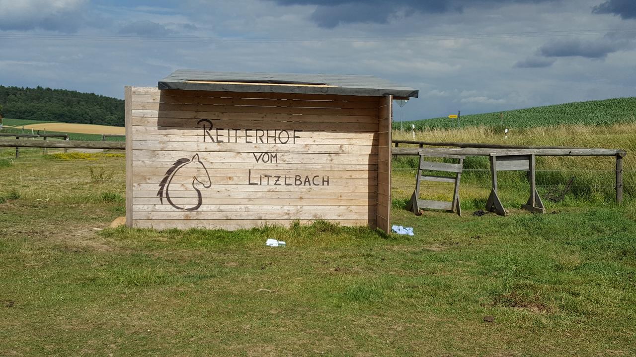 Апартаменты Reiterhof Vom Litzlbach Langquaid Экстерьер фото